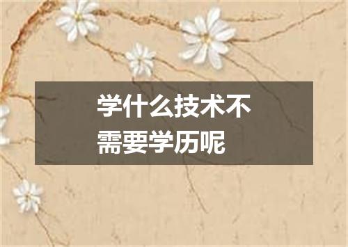学什么技术不需要学历呢