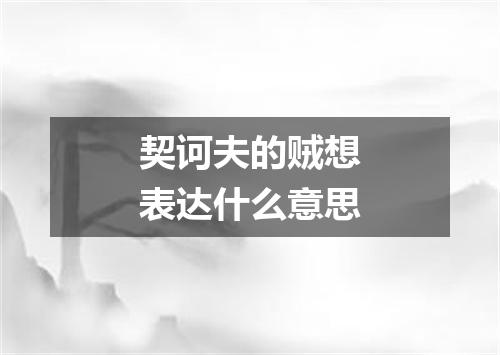 契诃夫的贼想表达什么意思