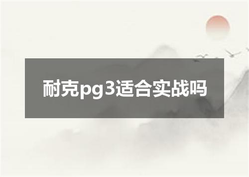 耐克pg3适合实战吗