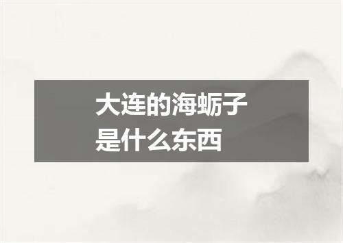 大连的海蛎子是什么东西