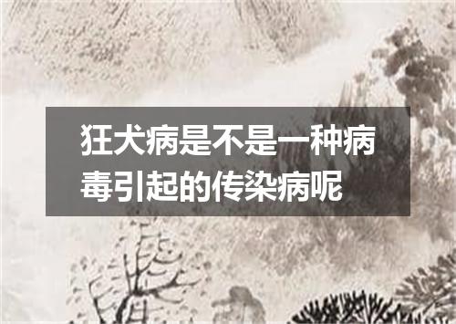 狂犬病是不是一种病毒引起的传染病呢