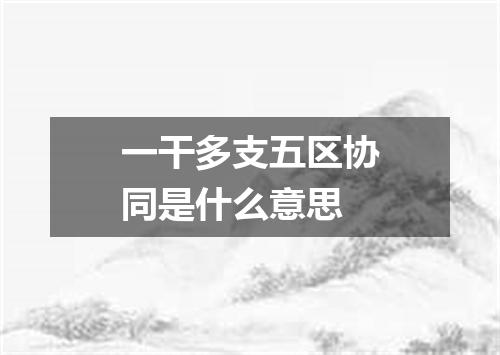 一干多支五区协同是什么意思