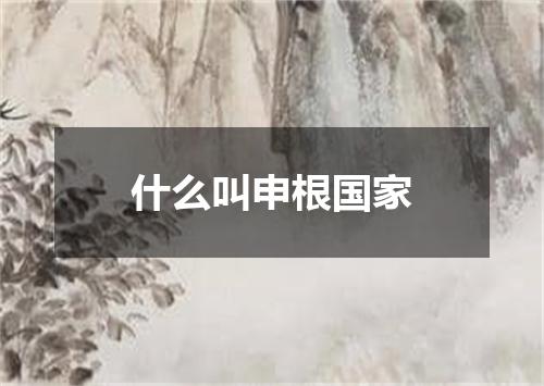 什么叫申根国家