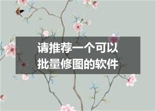 请推荐一个可以批量修图的软件