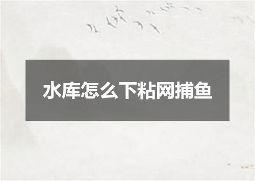 水库怎么下粘网捕鱼