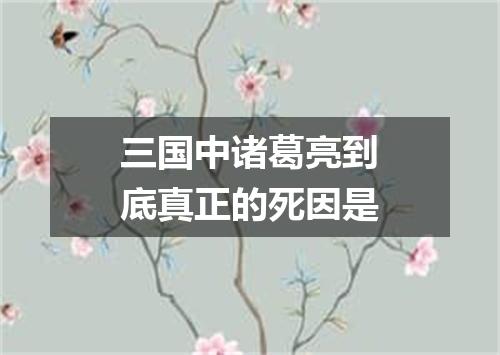 三国中诸葛亮到底真正的死因是