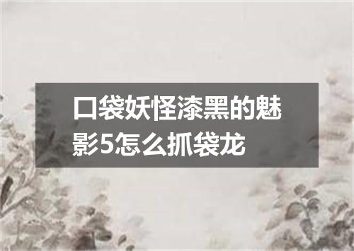 口袋妖怪漆黑的魅影5怎么抓袋龙