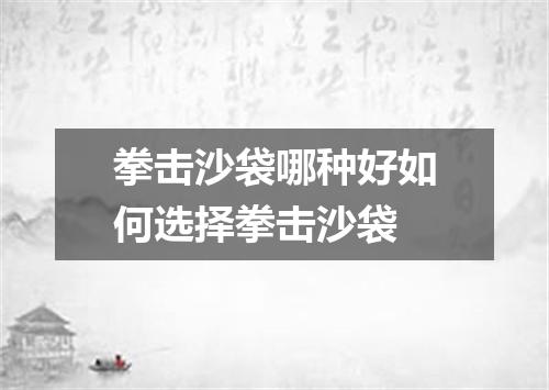 拳击沙袋哪种好如何选择拳击沙袋