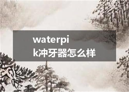 waterpik冲牙器怎么样