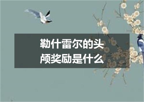 勒什雷尔的头颅奖励是什么