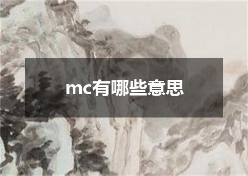 mc有哪些意思