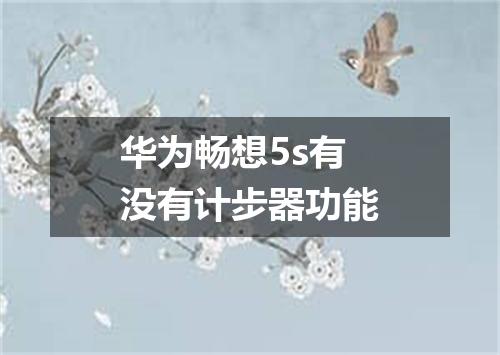 华为畅想5s有没有计步器功能