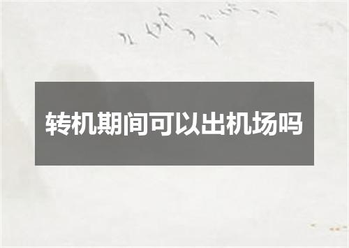 转机期间可以出机场吗