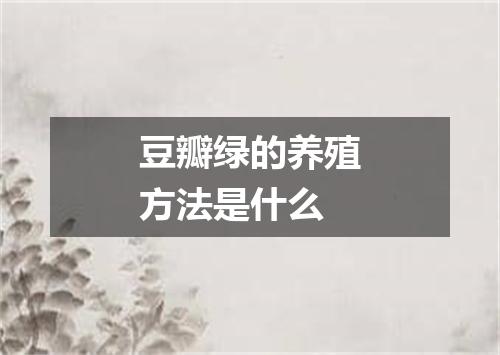 豆瓣绿的养殖方法是什么