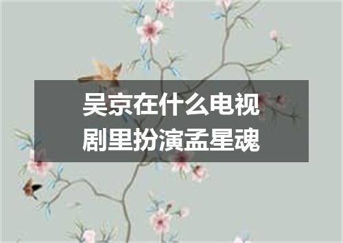 吴京在什么电视剧里扮演孟星魂