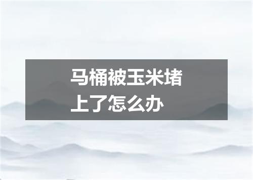 马桶被玉米堵上了怎么办