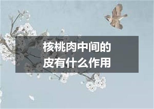 核桃肉中间的皮有什么作用