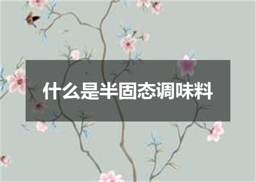 什么是半固态调味料
