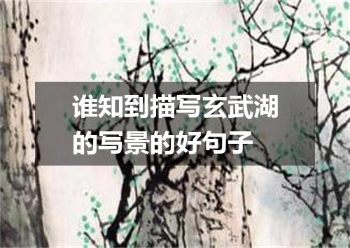 谁知到描写玄武湖的写景的好句子