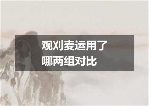 观刈麦运用了哪两组对比