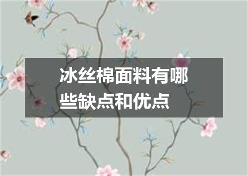 冰丝棉面料有哪些缺点和优点