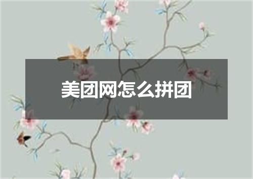 美团网怎么拼团