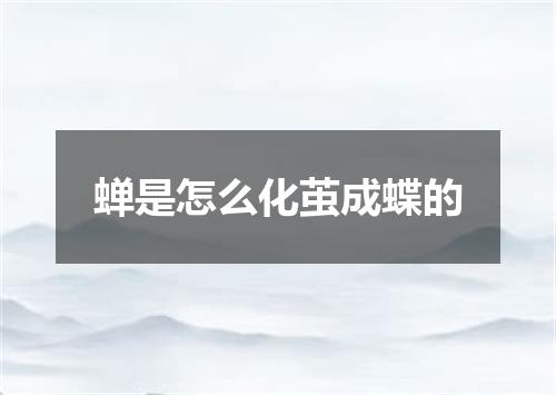 蝉是怎么化茧成蝶的