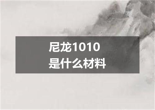 尼龙1010是什么材料