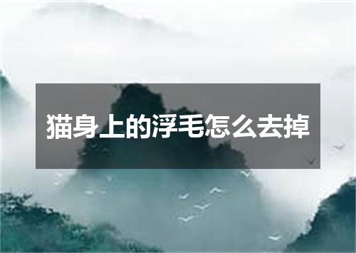 猫身上的浮毛怎么去掉