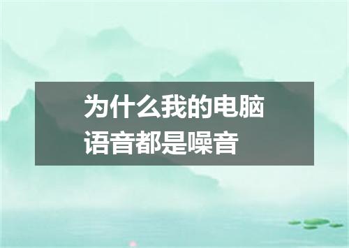 为什么我的电脑语音都是噪音