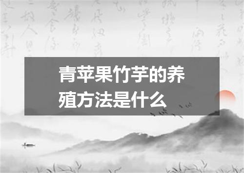 青苹果竹芋的养殖方法是什么