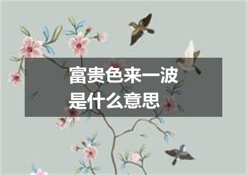富贵色来一波是什么意思