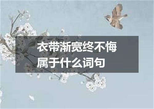 衣带渐宽终不悔属于什么词句