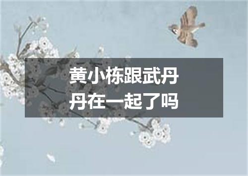 黄小栋跟武丹丹在一起了吗