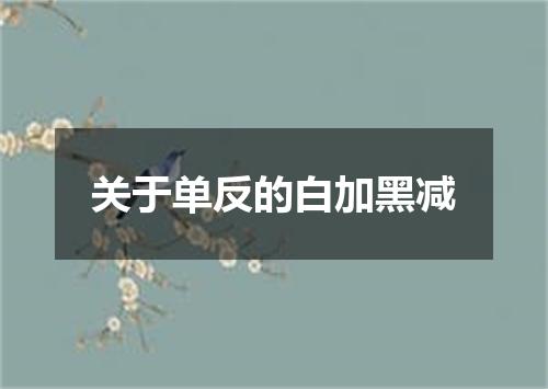 关于单反的白加黑减