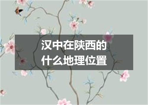 汉中在陕西的什么地理位置