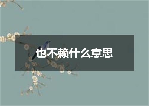 也不赖什么意思