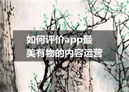 如何评价app最美有物的内容运营