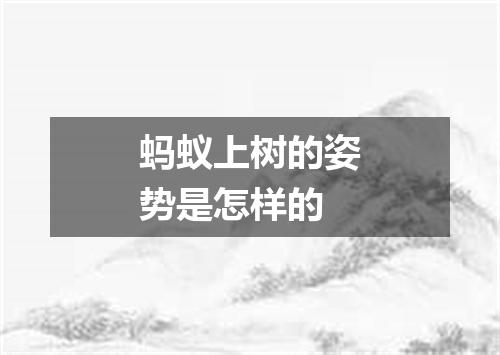 蚂蚁上树的姿势是怎样的