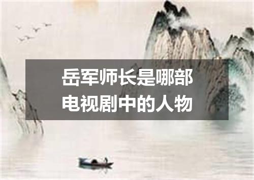 岳军师长是哪部电视剧中的人物