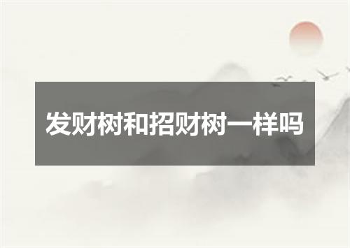 发财树和招财树一样吗