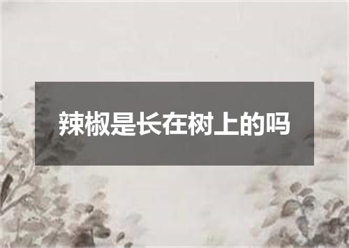 辣椒是长在树上的吗