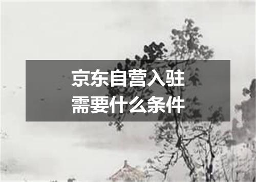 京东自营入驻需要什么条件