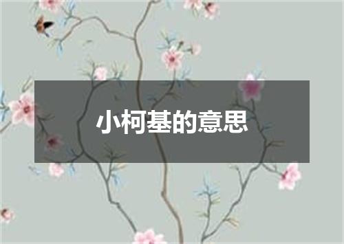 小柯基的意思
