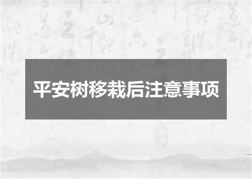 平安树移栽后注意事项