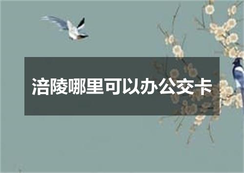 涪陵哪里可以办公交卡