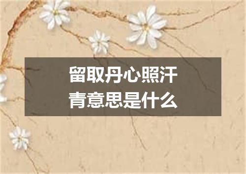 留取丹心照汗青意思是什么