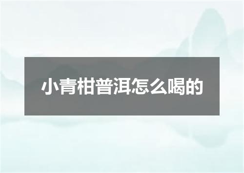小青柑普洱怎么喝的