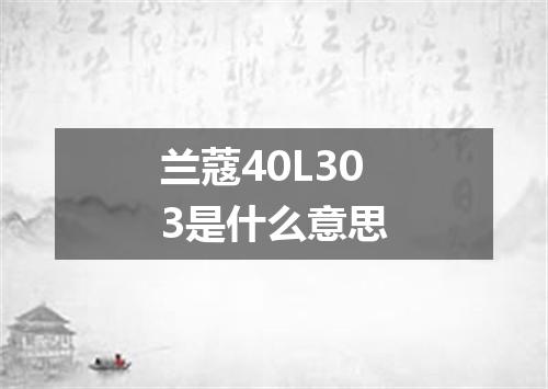 兰蔻40L303是什么意思