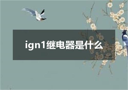ign1继电器是什么